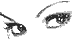eyes 